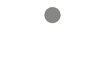 Ibis Project